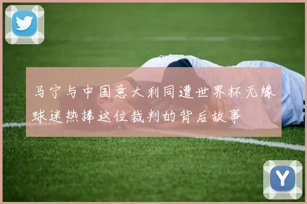 马宁与中国意大利同遭世界杯无缘球迷热捧这位裁判的背后故事